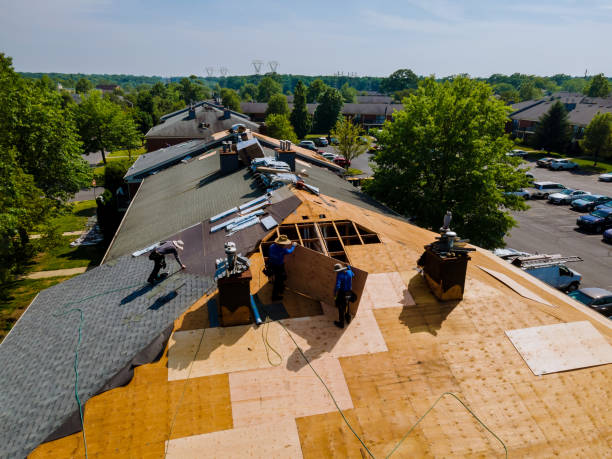 Best Residential Roof Replacement  in Hollins, VA