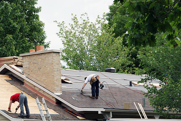Best Gutter Installation and Roofing  in Hollins, VA