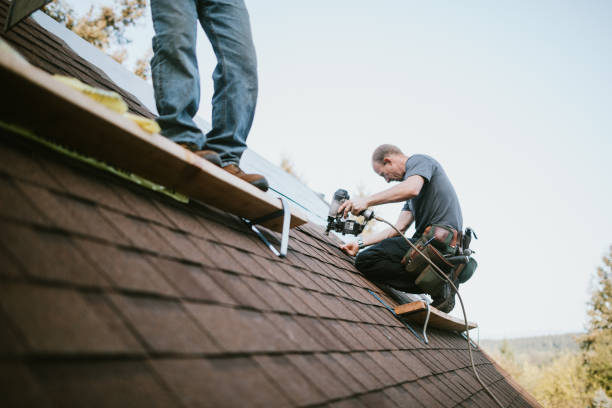 Best Roof Gutter Cleaning  in Hollins, VA